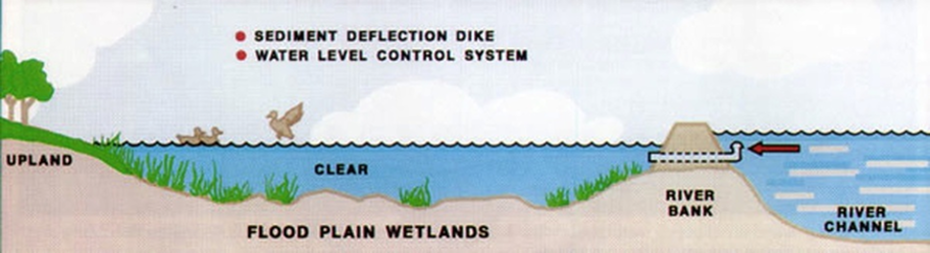 Tidal and Flood Plain Chart